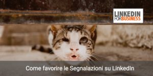 Segnalazioni LinkedIn: come favorirle