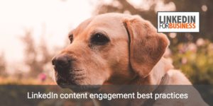 Content engagement su LinkedIn